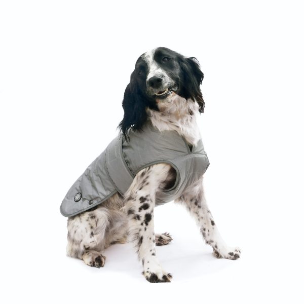 Ancol Muddy Paws Ultimate Reflective Coat