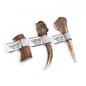 Nova dog Chews- Antler