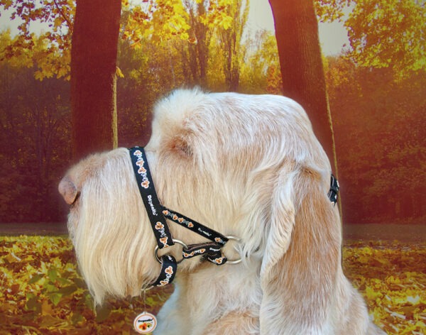 Dogmatic Padded Cushioned Webbing Headcollar