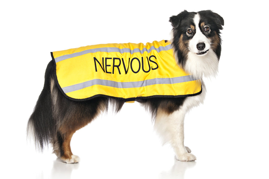 Dexil Nervous Coat