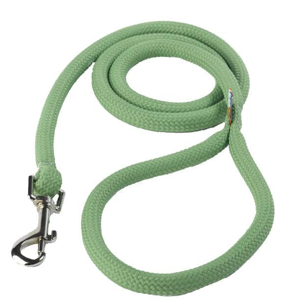 Yellow Dog Design Braided Lead- Available in 11 colours