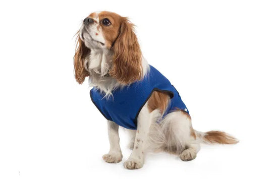 Ancol Dog Cooling vest