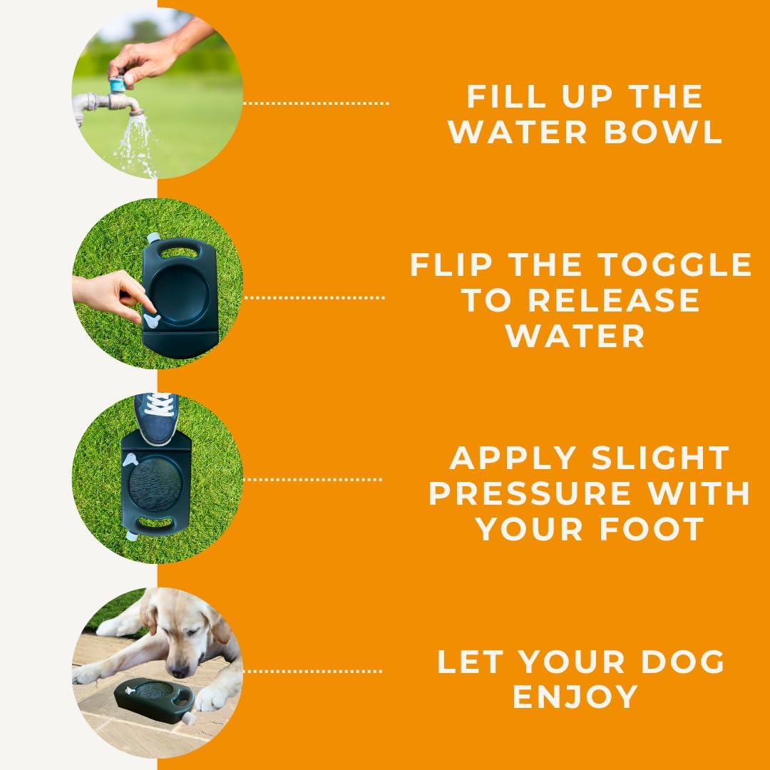 Aquabowl