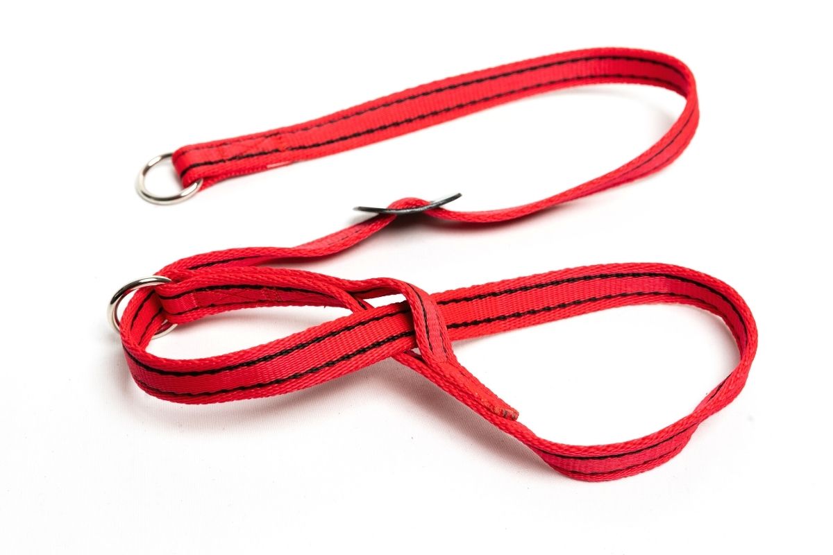 Gencon Dog Headcollar- Available in 2 colours