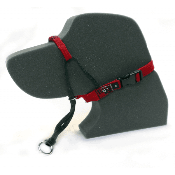 Blackdog Wear Training Halter- Available in 2 colours