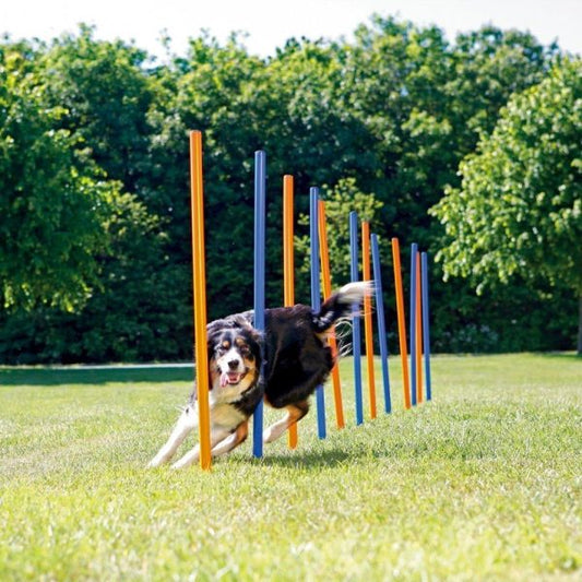 K9 Pursuits Agility Weave Poles