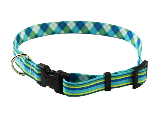 Yellow Dog Design Collar Stripes- Available in 6 designs