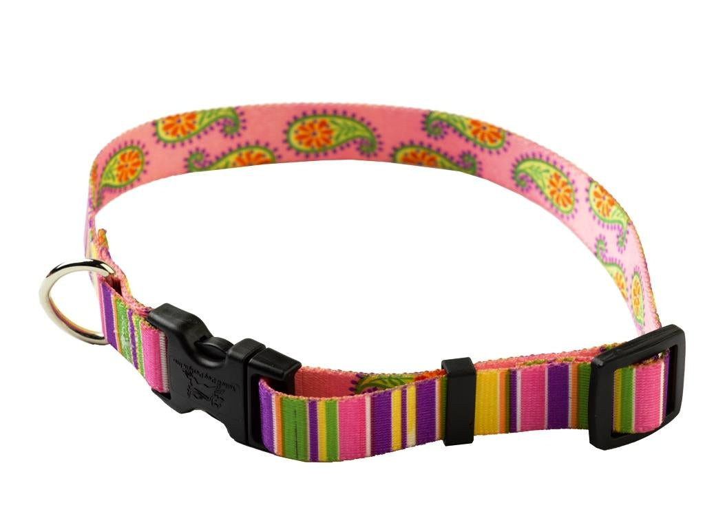 Yellow Dog Design Collar Stripes- Available in 6 designs