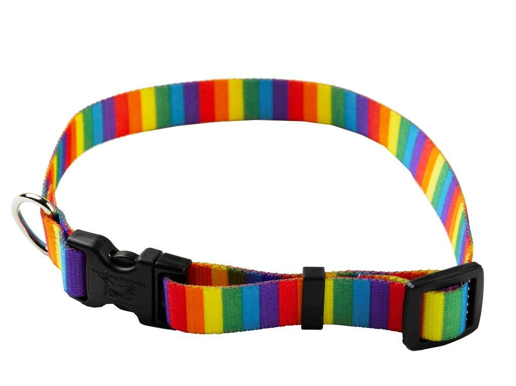 Yellow Dog Design Collar Stripes- Available in 6 designs