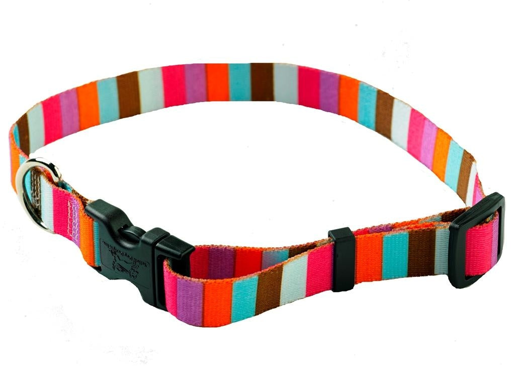 Yellow Dog Design Collar Stripes- Available in 6 designs